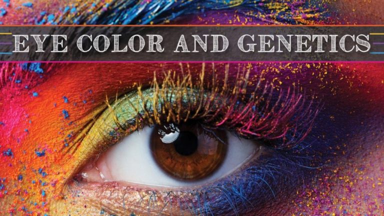 Eye-Color-Genetics-1024×576 | Great Hills Eye Care